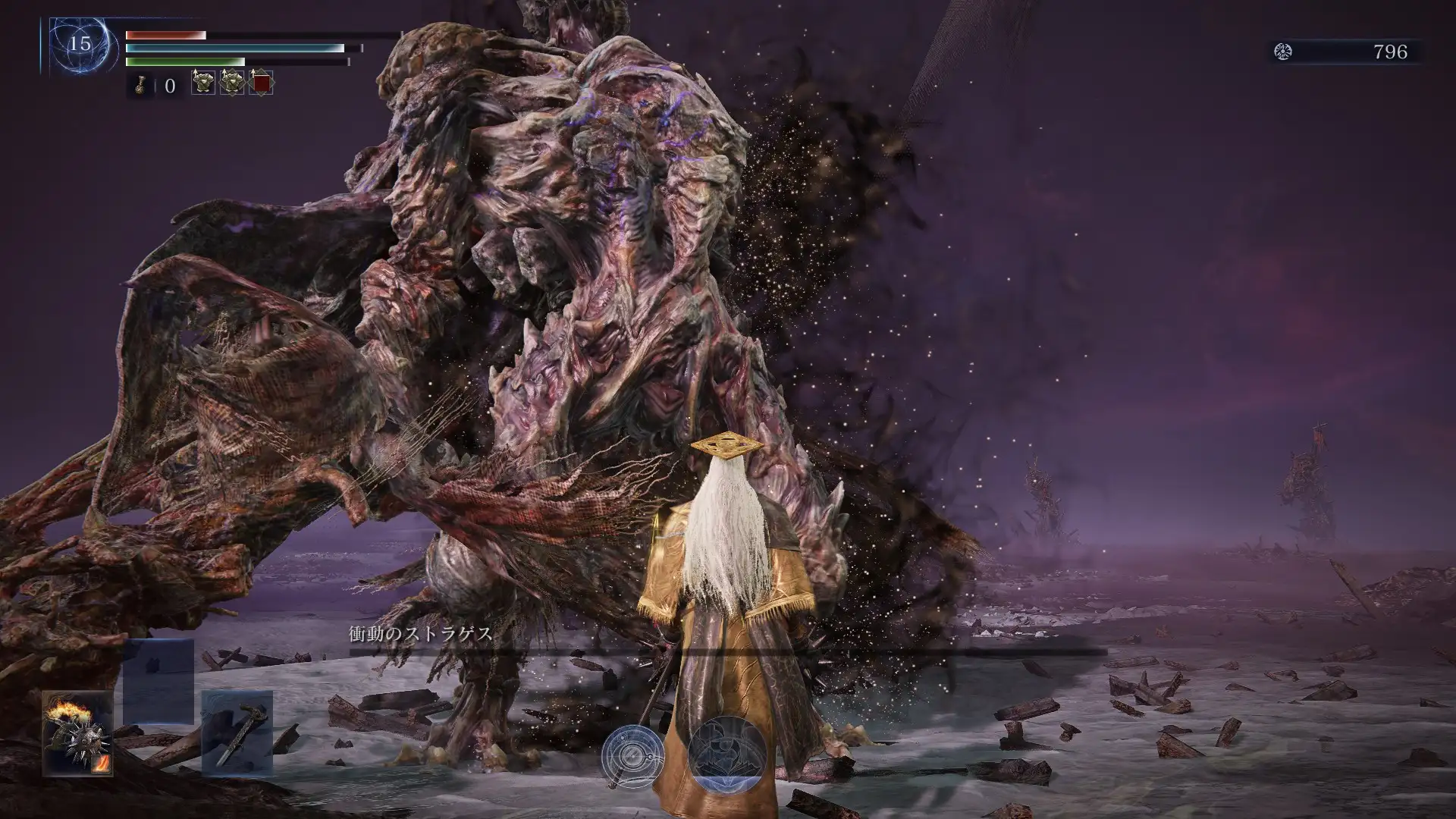 学者ソロで瓦礫の王ストラゲスを倒した画像