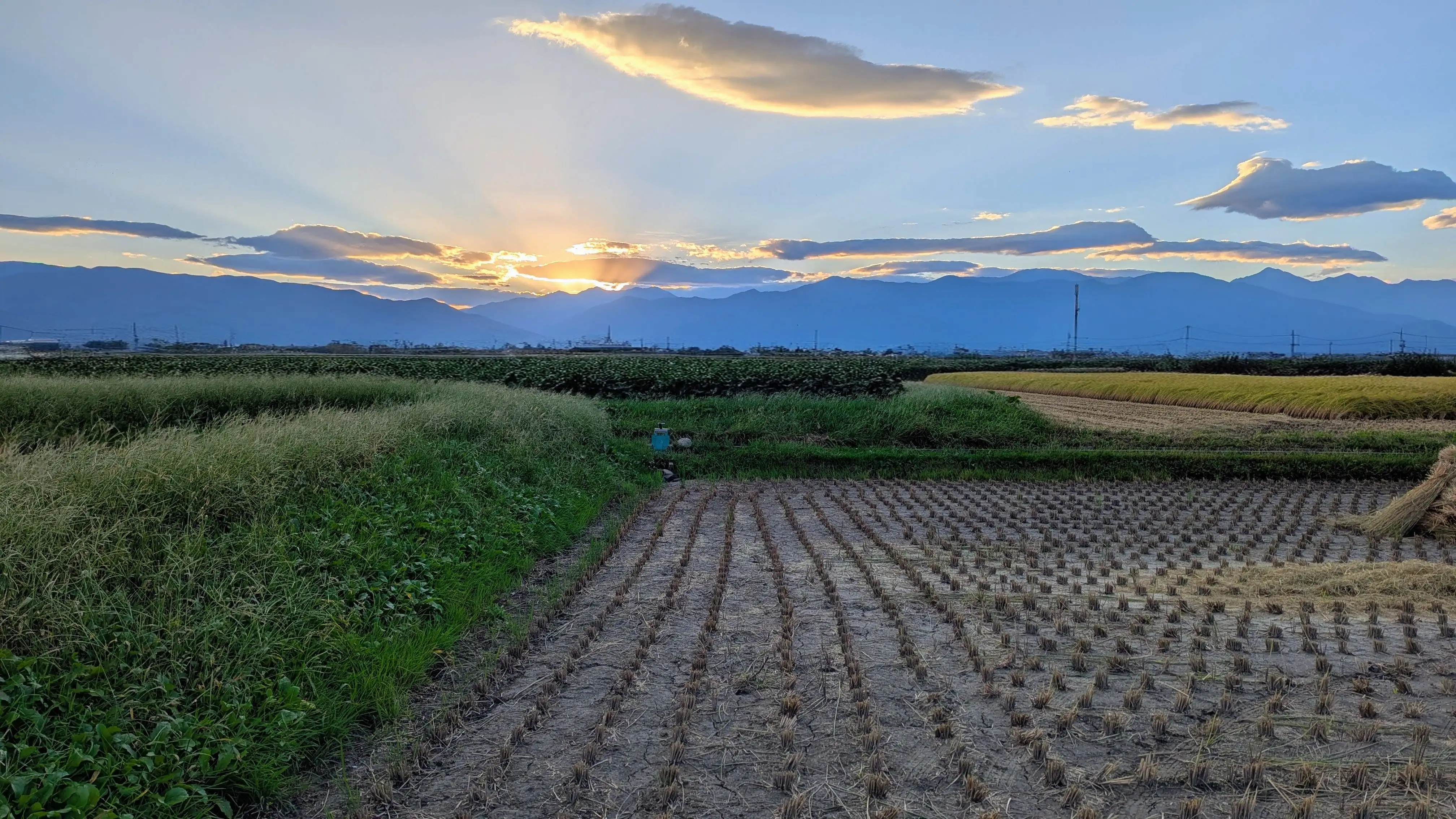 山の向こうに沈む夕日と田んぼの画像